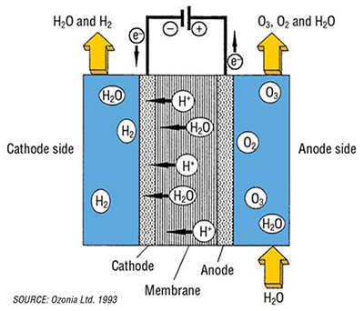 Basic electrolytic ozone generator cell